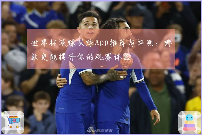 世界杯滚球买球App推荐与评测，哪款更能提升你的观赛体验