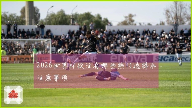 2026世界杯投注有哪些热门选择和注意事项