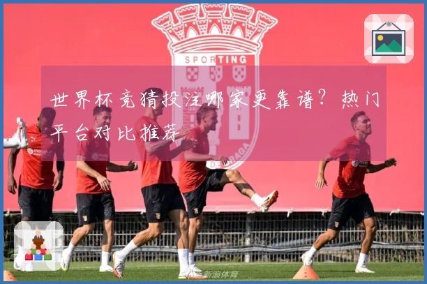 世界杯竞猜投注哪家更靠谱？热门平台对比推荐